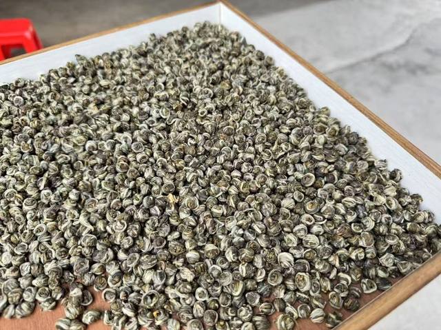 茉莉小芽珠