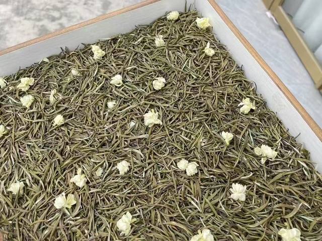 茉莉雀舌
